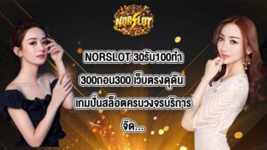 NORSLOT 30รับ100ทํา300ถอน300